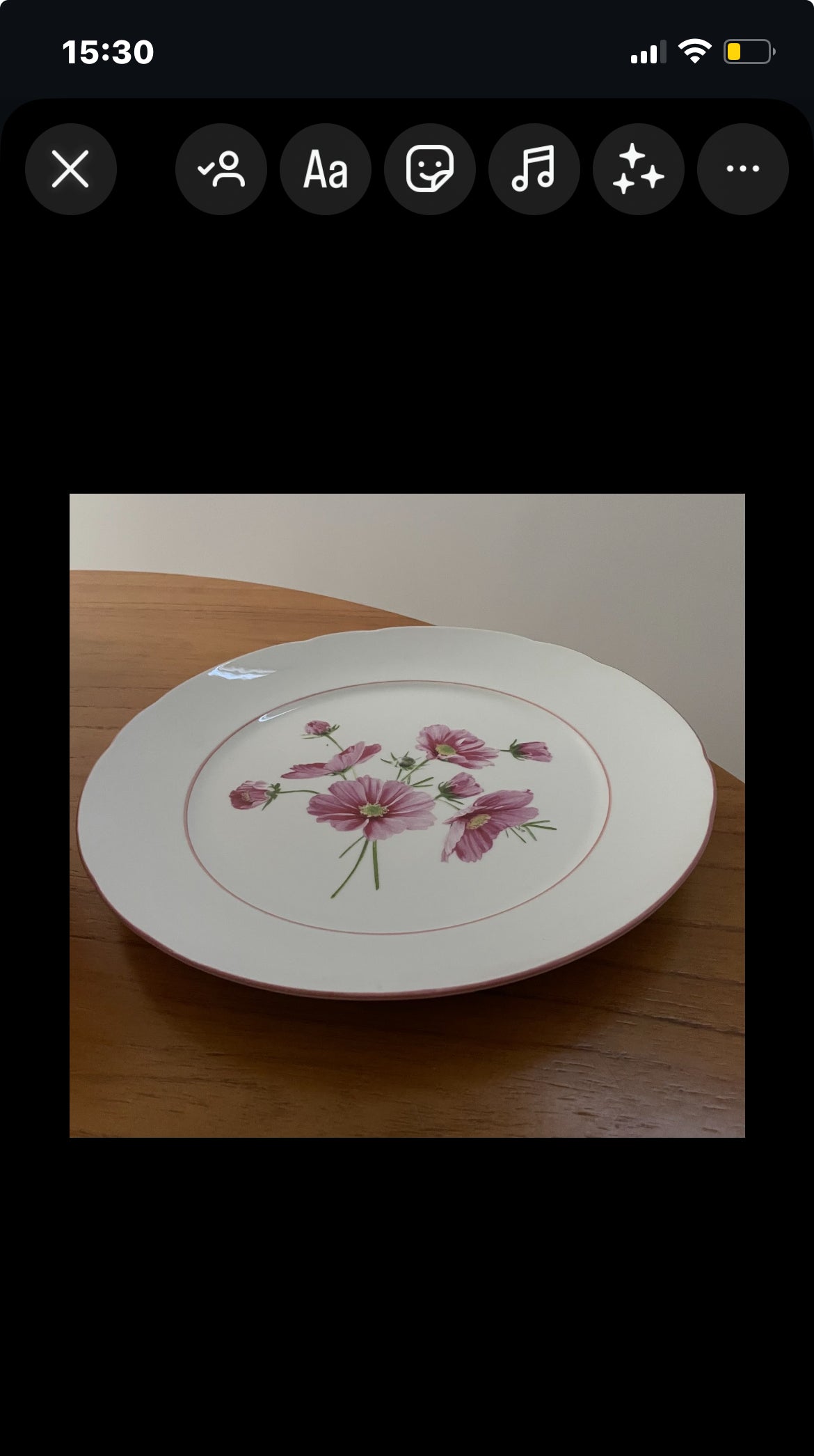 PRATO RASO FLORES SILVESTRES - MONANT