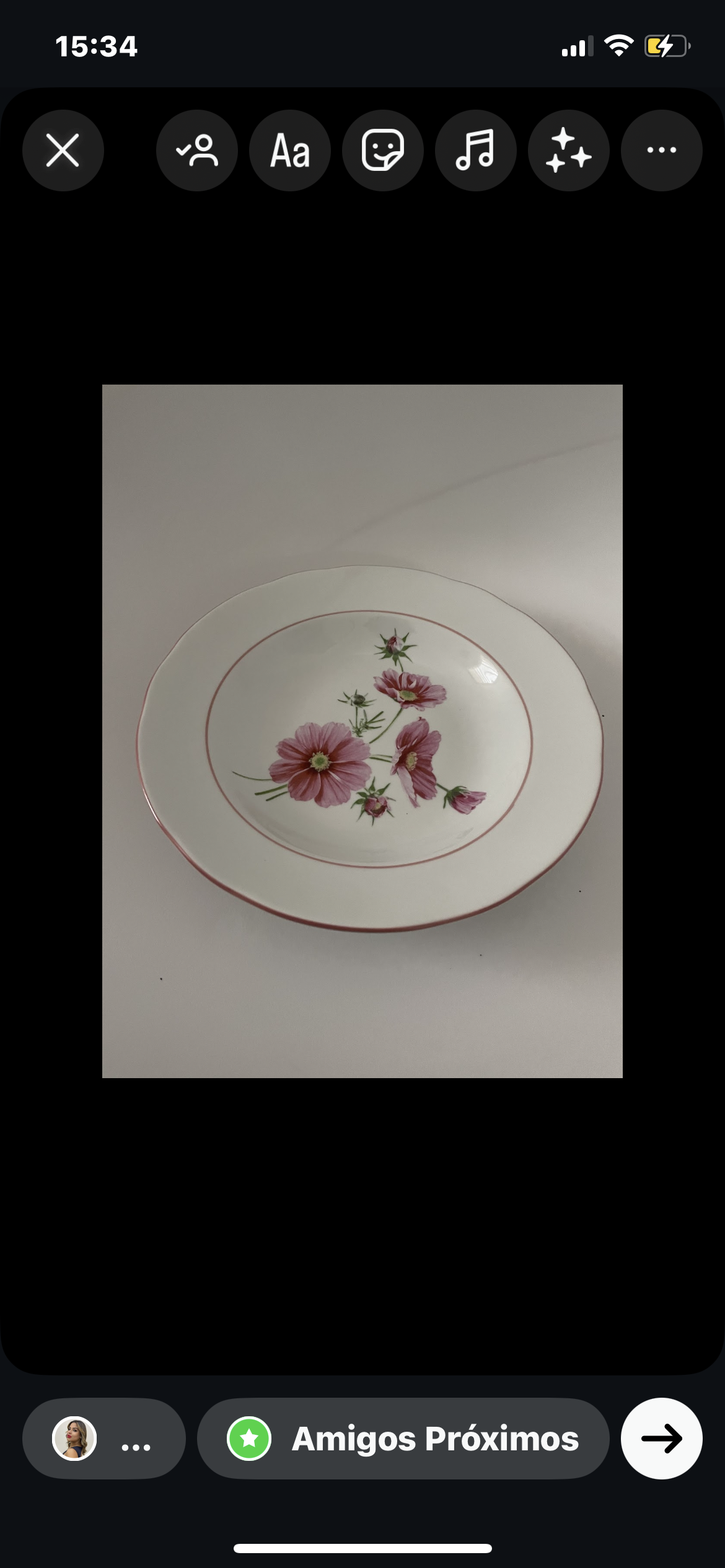 PRATO FUNDO FLORES SILVESTRES
