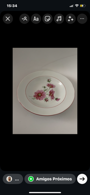 PRATO FUNDO FLORES SILVESTRES