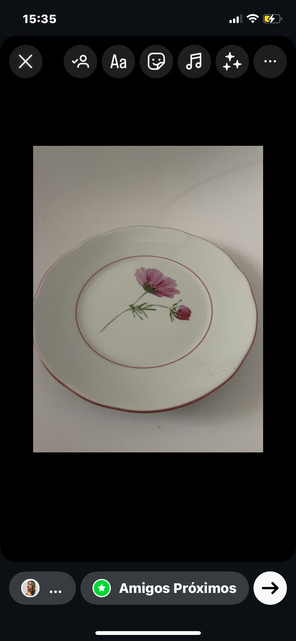 PRATO SOBREMESA FLORES SILVESTRE - MONANT