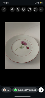 PRATO SOBREMESA FLORES SILVESTRE - MONANT