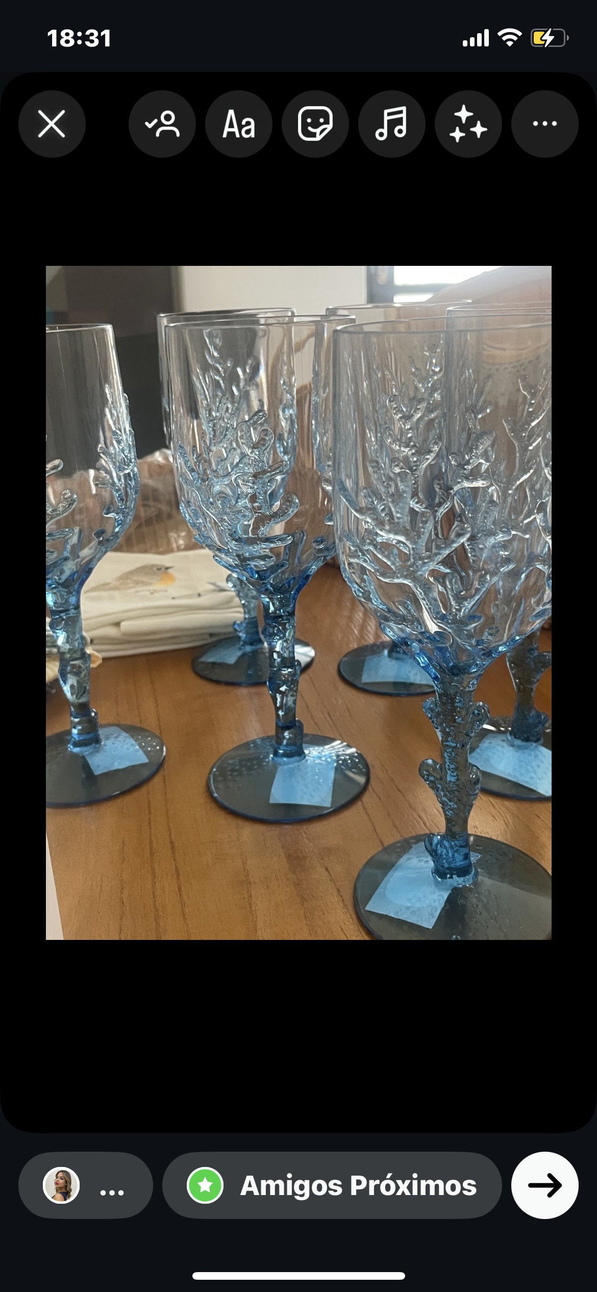 CONJ. 6 TÇS ALT. ACRÍLICO RIBEIRO PAVANI