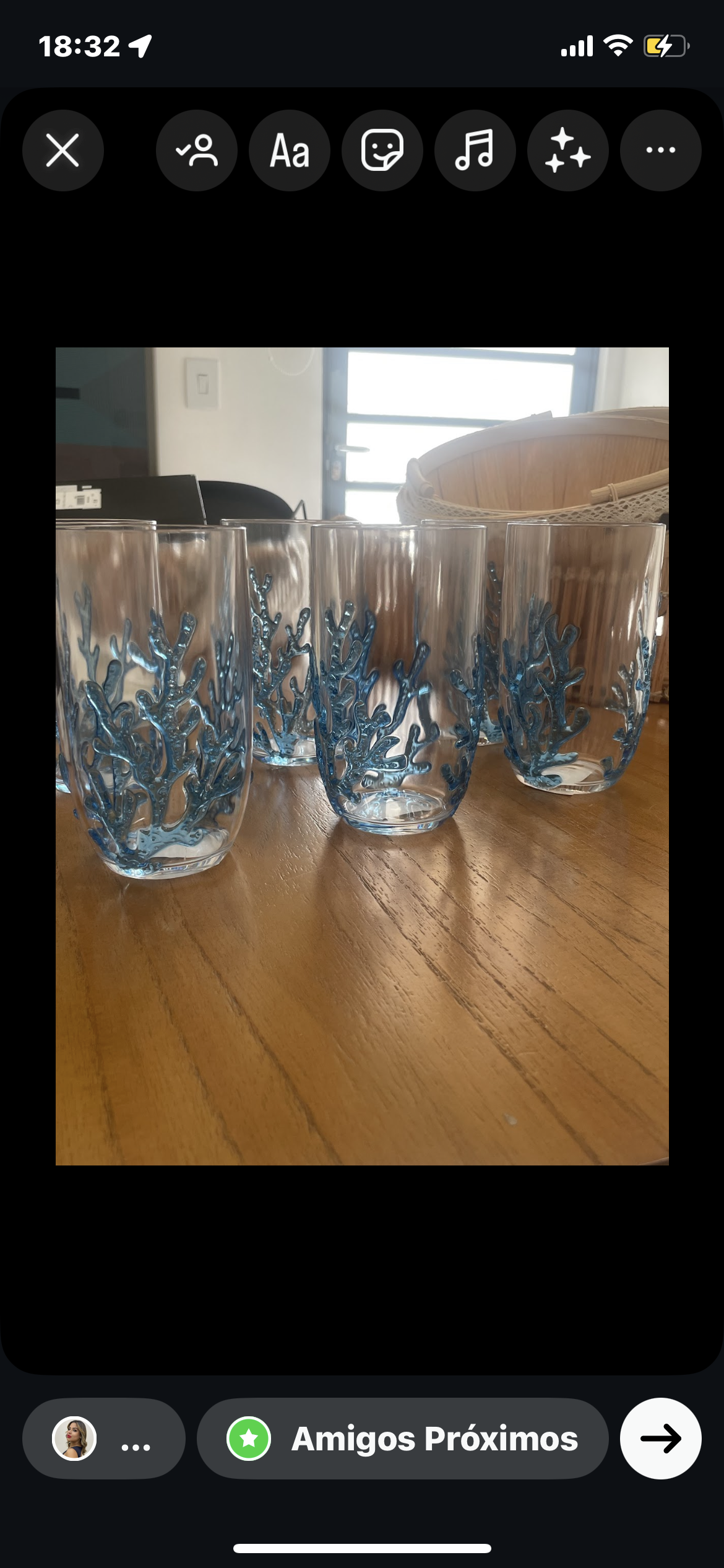 CONJ. 6 CPS ALT ACRÍLICO C RIBEIRO PAVANI