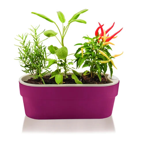 VASO HORTINHA AUTOIRRIGÁVEL PLANTA TEMPERO JARDIM HORIZONTAL OU