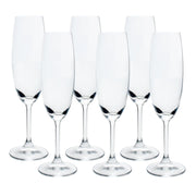 JG 6 TACAS P/ CHAMPANHE CRISTAL